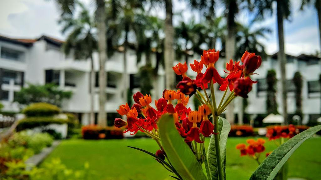 Lanka Princess All Inclusive Hotel Bentota Eksteriør bilde